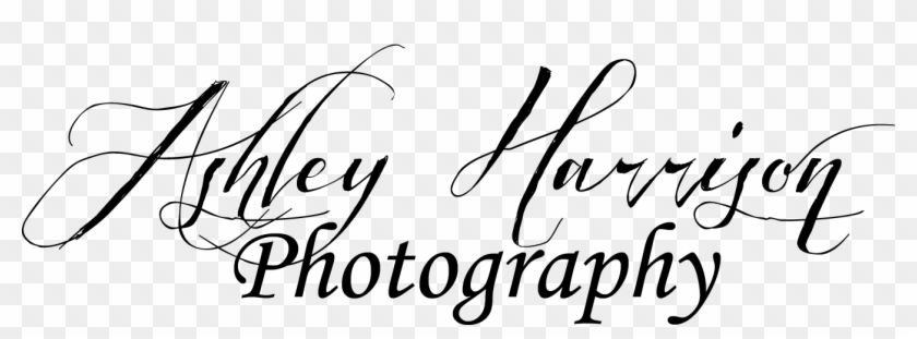 Ashley Harrison Photography - Calligraphy Clipart