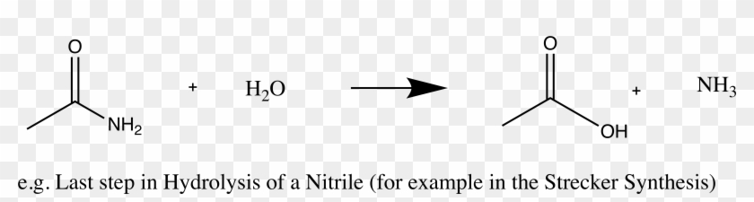 The Excess Of Water Can Push The Equillibrium To The - H2o Nh3 Clipart