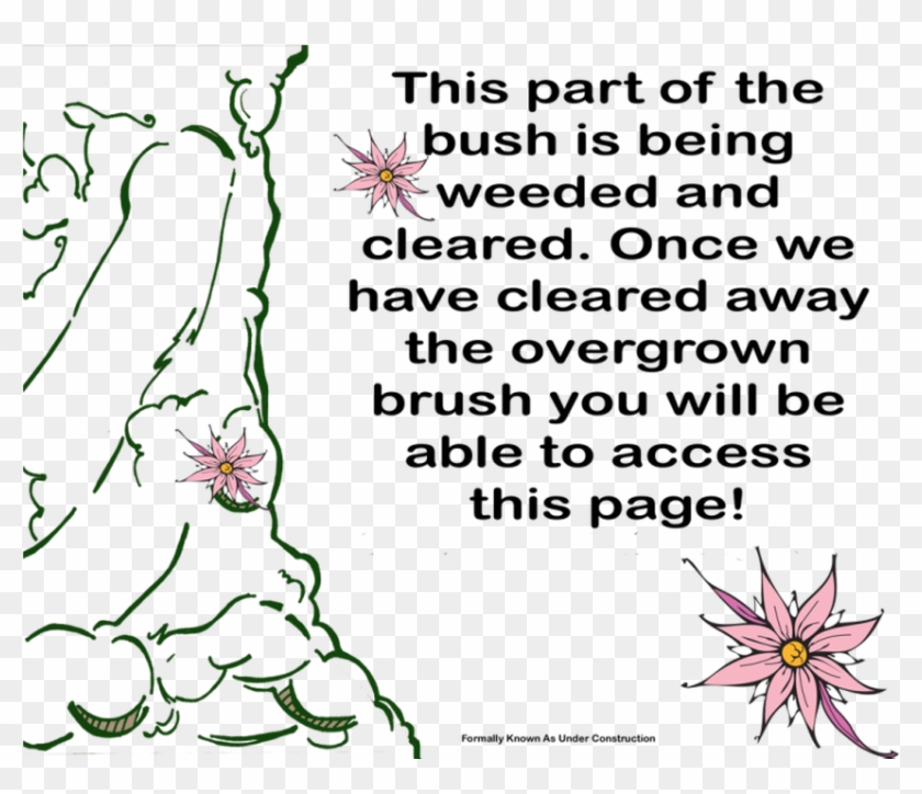 Picture - Illustration Clipart