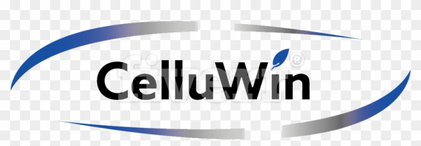 Big Worksample Image - Graphic Design Clipart