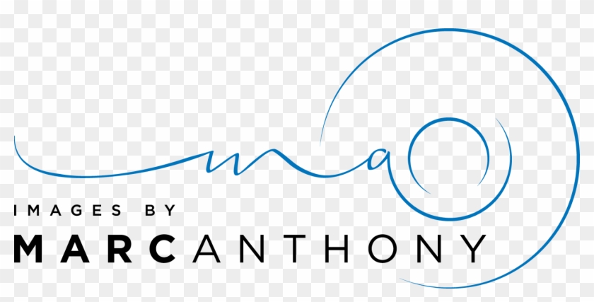 Circle Clipart #4415684