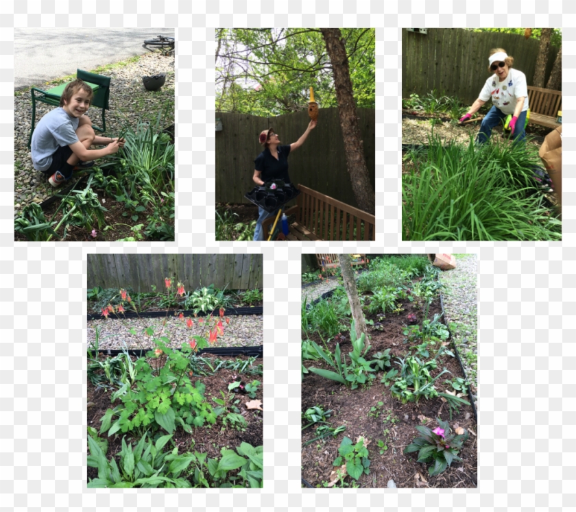 Picture - Yard Clipart