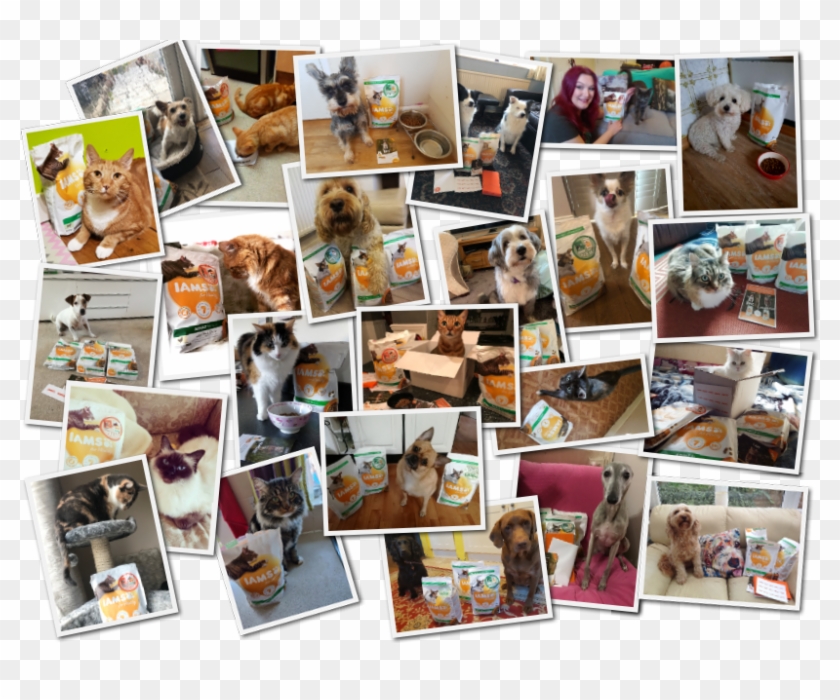 Our Team - Collage Clipart #4416983