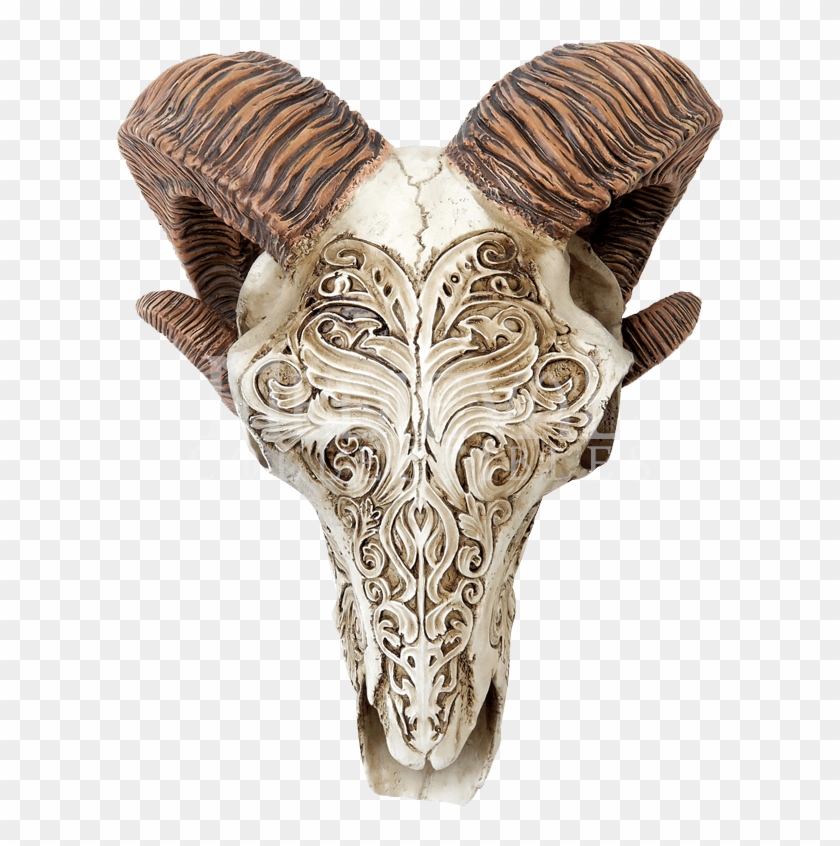 Scrimshaw Ram Skull , Png Download - Deer Skull Scrimshaw Clipart