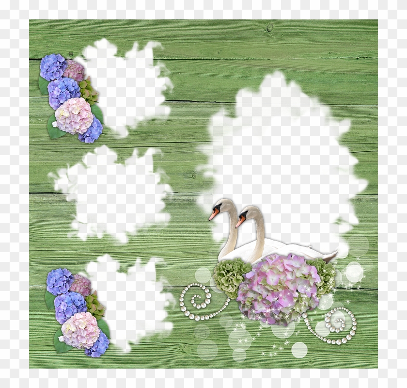 Moldura, Scrapbooking, Casamento, Romance, Verão - Hydrangea Clipart #4418889
