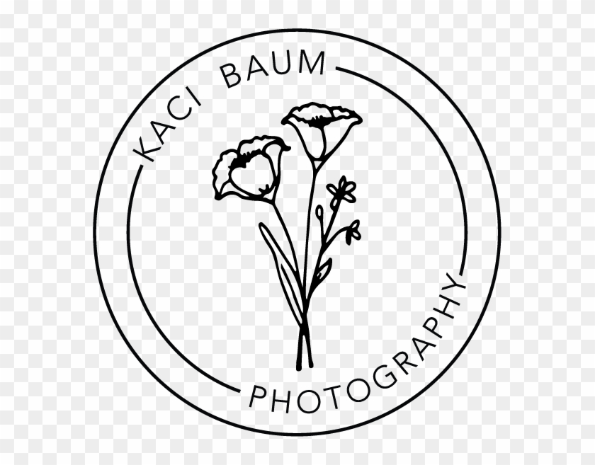 Png Stock Kaci Baum - Map Clipart