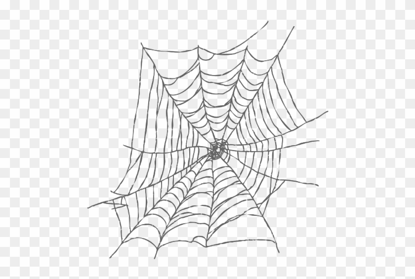Imagen - Spiderman Web Clipart White - Png Download