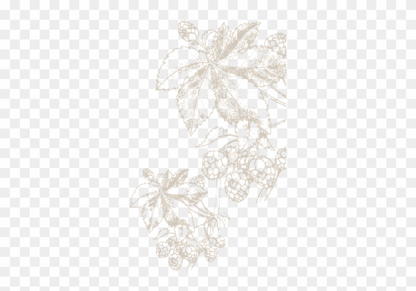Background Flourish - Drawing Clipart