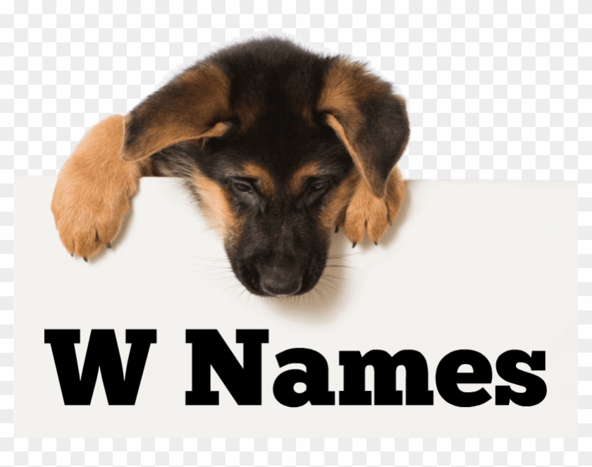 Girl Names - Can Stock Clipart #4420700