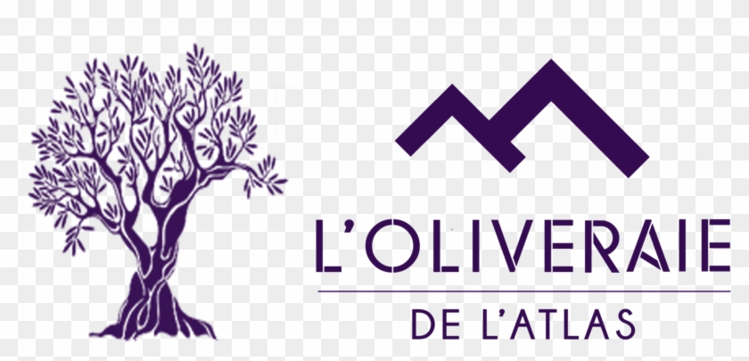L'oliveraie De L'atlas Riad Hotel De Luxe À Marrakech, - Oliveraie De L Atlas Clipart