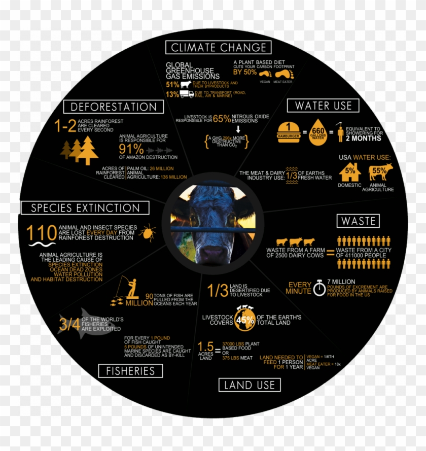We All Saw How Damaging Last Year's Set Of Hurricanes - Cowspiracy Facts Clipart #4422810