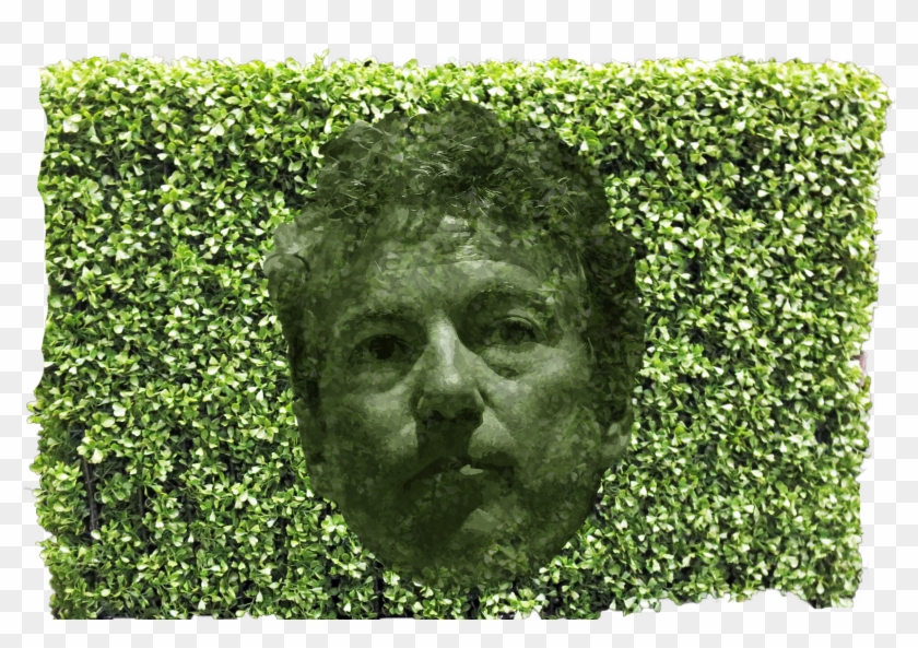 Clipper Next Paul Hedge Rand Paul - Photomontage - Png Download #4423302