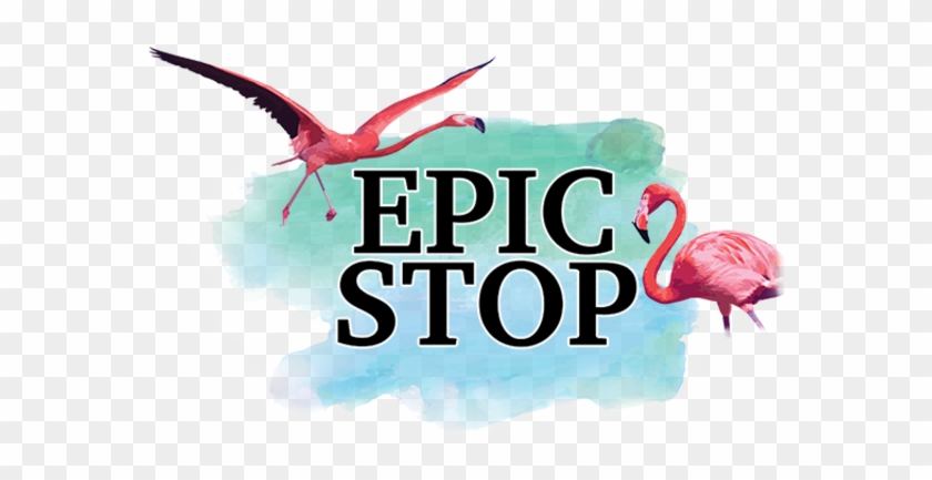 @avrilbabyyy - Greater Flamingo Clipart