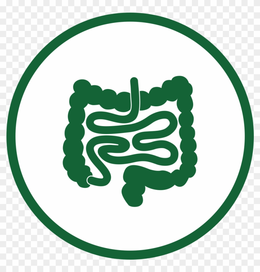 Gut Brain Love Axis , Png Download - If You Ain T Eating Right Clipart