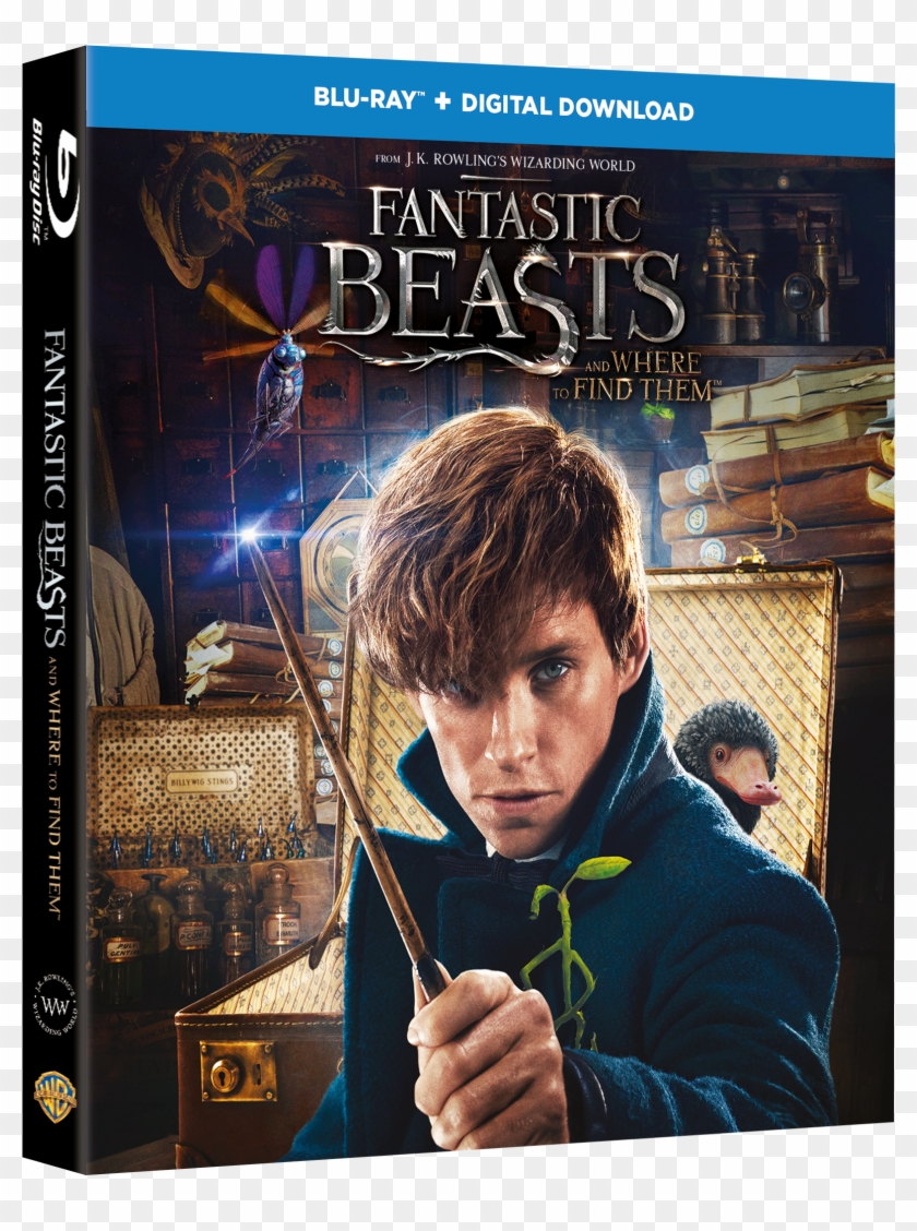 Critical Popcorn - Blu Ray Fantastic Beasts Clipart #4426071