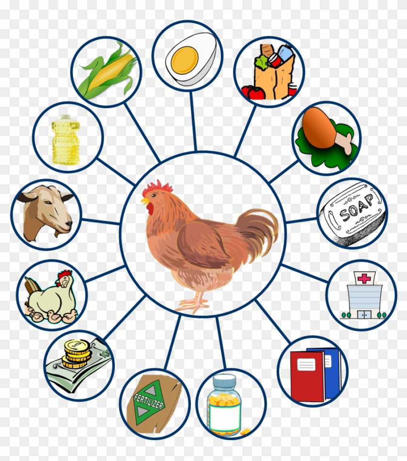 Land O'lakes Id - Chicken Clip Art Free - Png Download #4427793