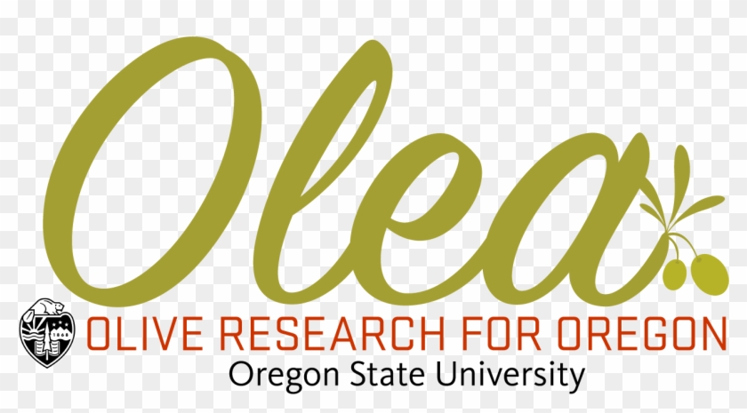 Olive Research For Oregon - Oval Clipart #4428819