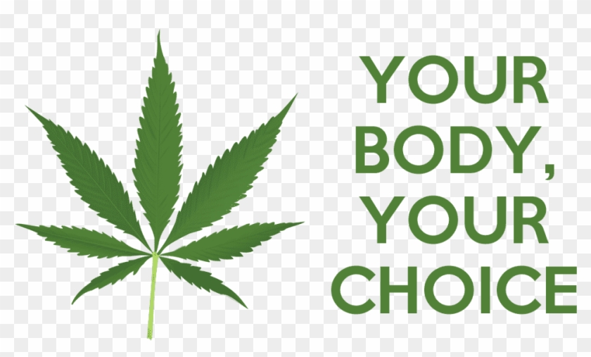 Hemp Cannabis Marijuana Yourbody Yourchoice Petition - Pot Leaf Clipart #4433372