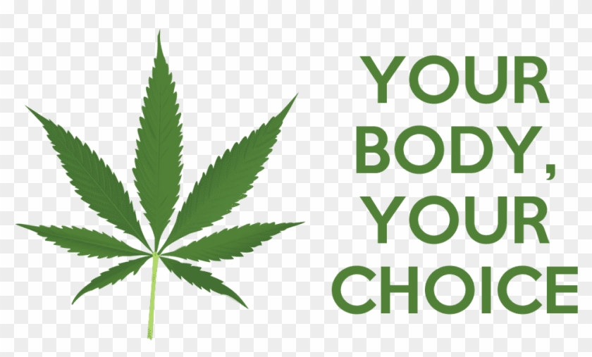Hemp Cannabis Marijuana Yourbody Yourchoice Petition - Pot Leaf Clipart