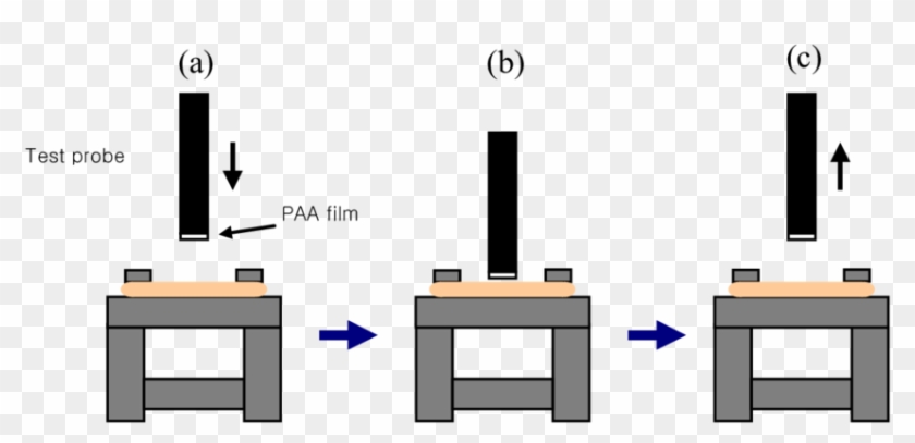 Process Of The Mucoadhesive Test By The Texture Analyzer - Mucoadhesive Texture Analyzer Clipart #4433710