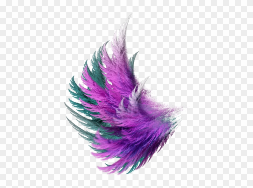 #stickers #tumblr #sitckertumblr #png #hípster #wing - Png Transparent Purple Feather Clipart #4435336