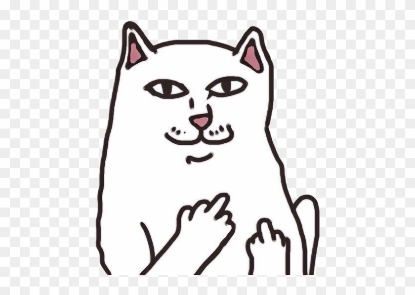 Cats We Heart It Png Clipart #4436994