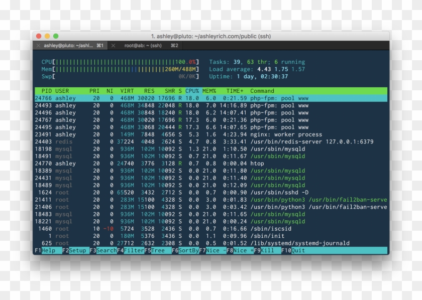 Server Resource Usage - Htop Clipart
