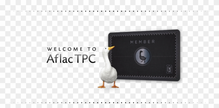 Contact - Duck Clipart