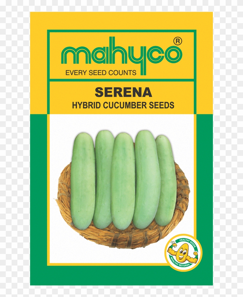 Mahy Serena - Mahyco Hybrid Chilli Seeds Tejaswini Clipart #4445818