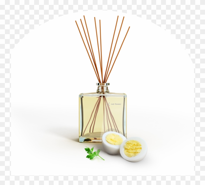 Red Flower Passover - Biscuit Clipart #4445946