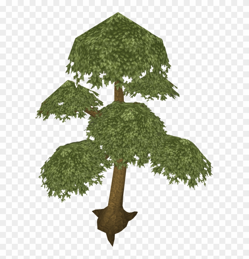 Image Result For Runescape Yew Tree - Yew Runescape Clipart #4446189