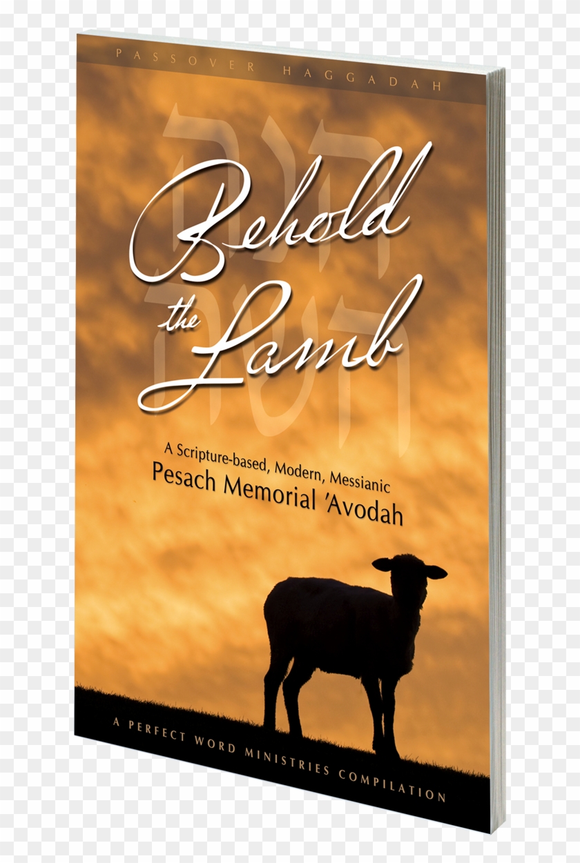 Behold The Lamb Messianic Passover Haggadah - Haggadah Clipart