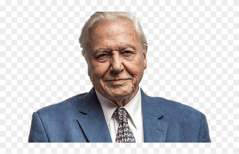 David Attenborough Portrait - David Attenborough Smiling Portrait Clipart