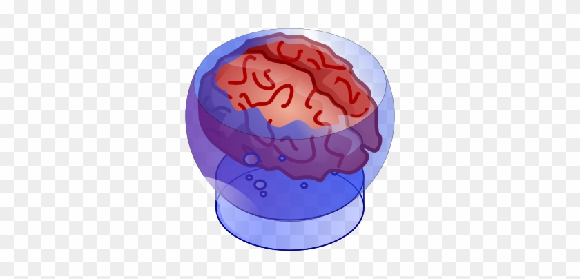 Bb Brain 612×554 Clipart