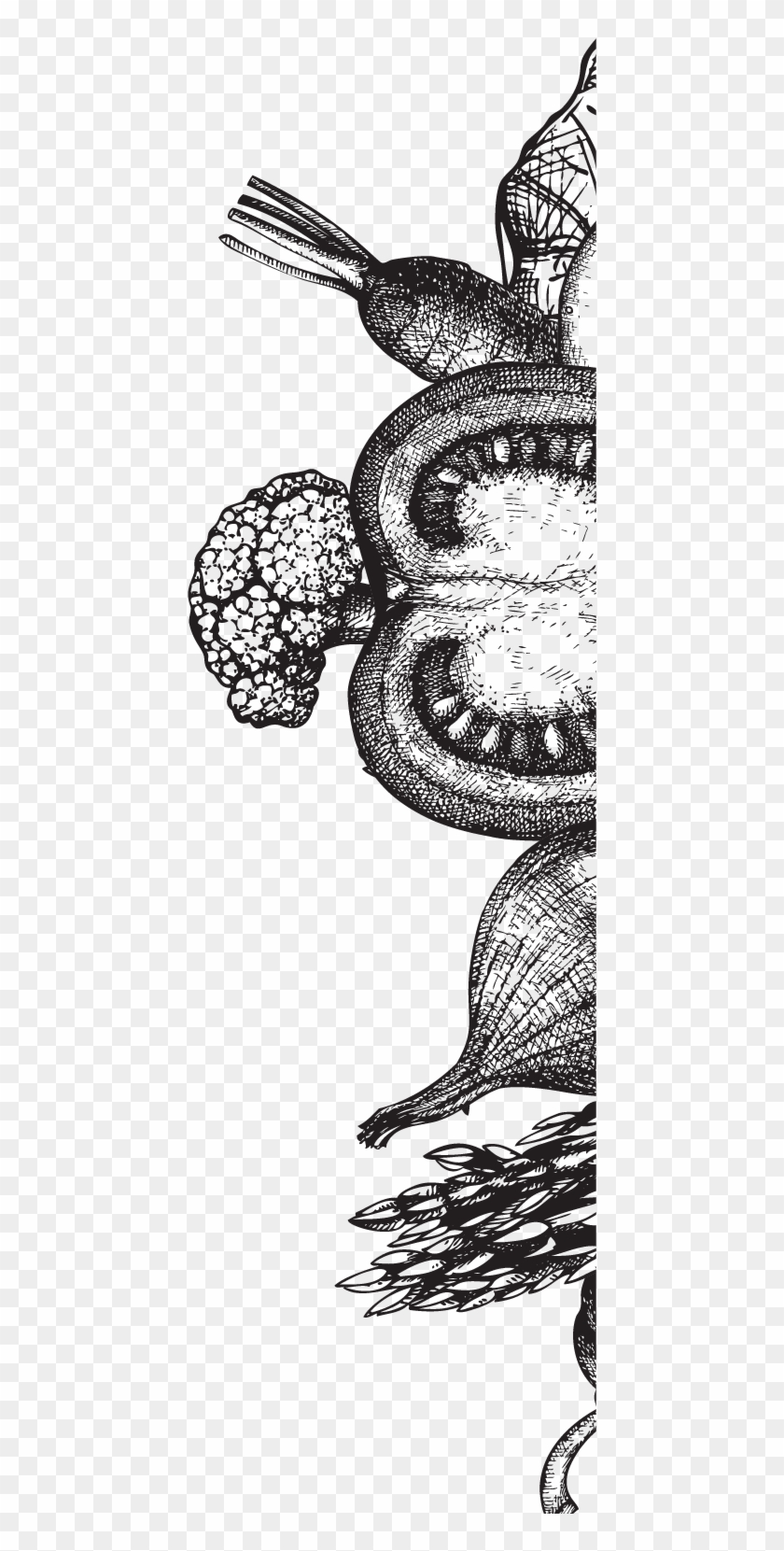 Vegetable Sketch Transparent Clipart #4447148