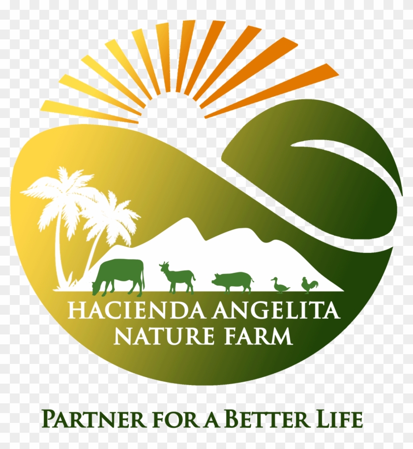 About Us - Graphic Design Clipart