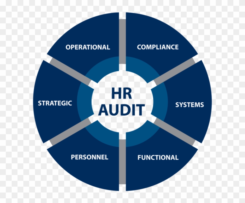 7 Steps For A Highly Effective Hr Audit - Clock Clipart