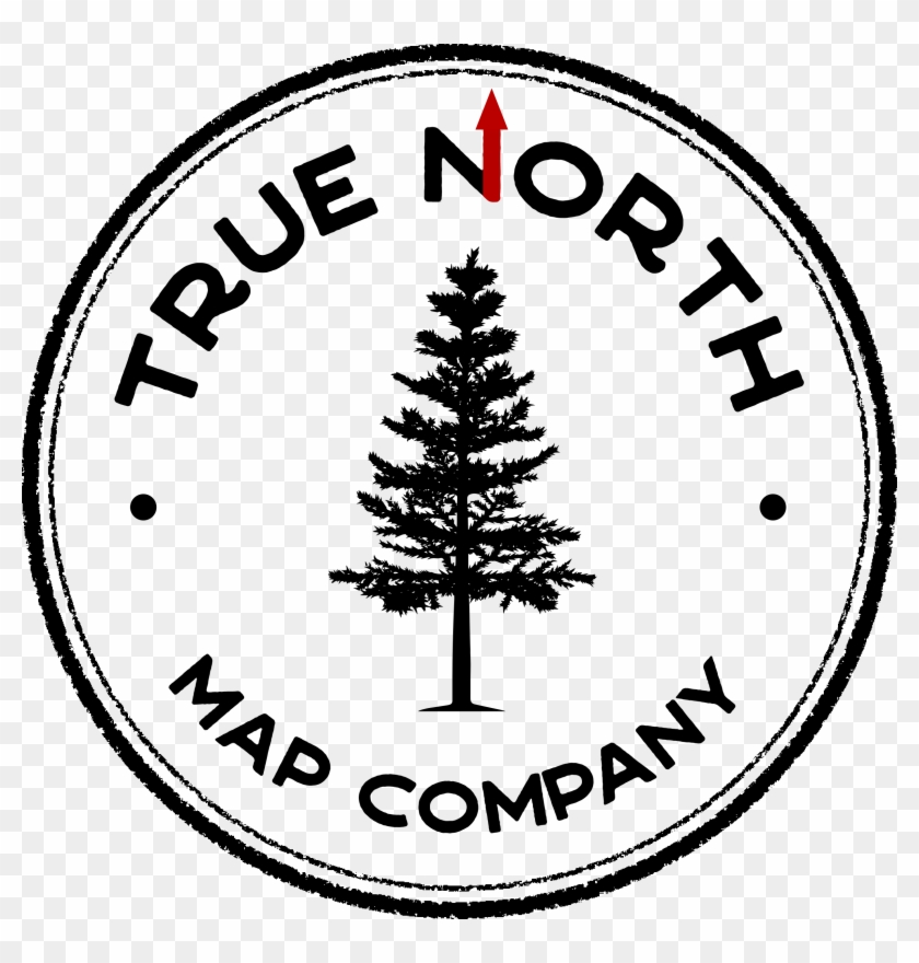 Circle Clipart #4450520