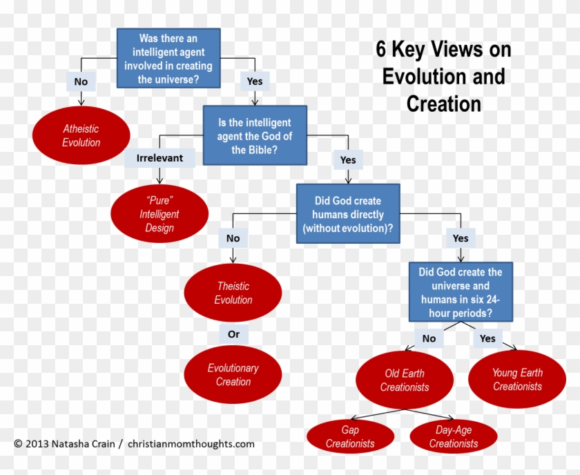 Creation And Evolution Basics Part - Creationism Vs Evolution Diagram Clipart #4450926