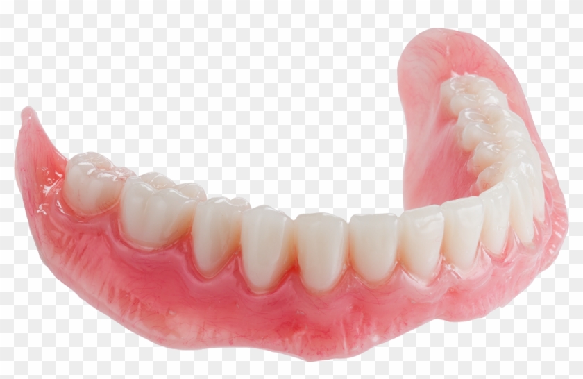 View Larger - Denture Of Mandible Clipart #4451144