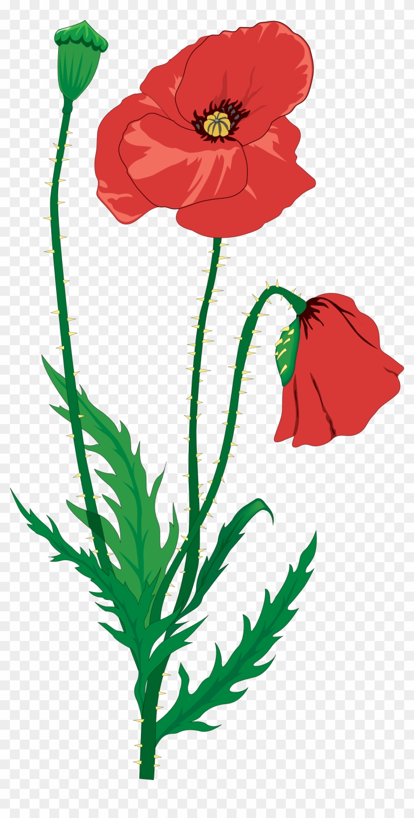 Drawing Flower Clip Art - War Poems Flanders Fields - Png Download #4451173