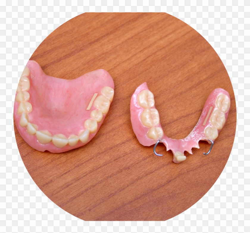 Dentures - Hardwood Clipart