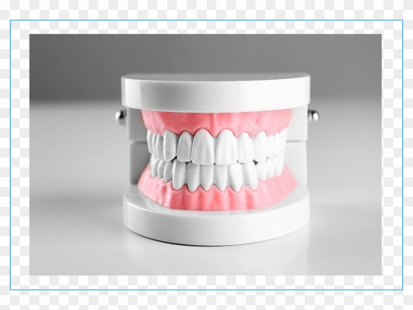 What - Tooth Clipart #4452527