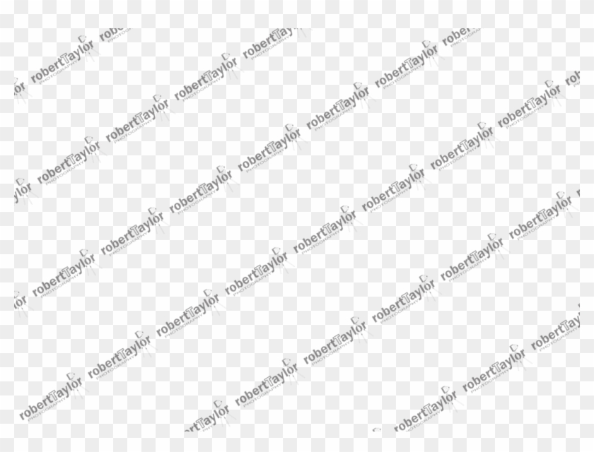 Gallery Watermark Clipart #4452888