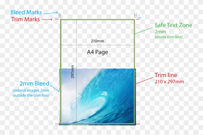 Surfing Clipart #4453256