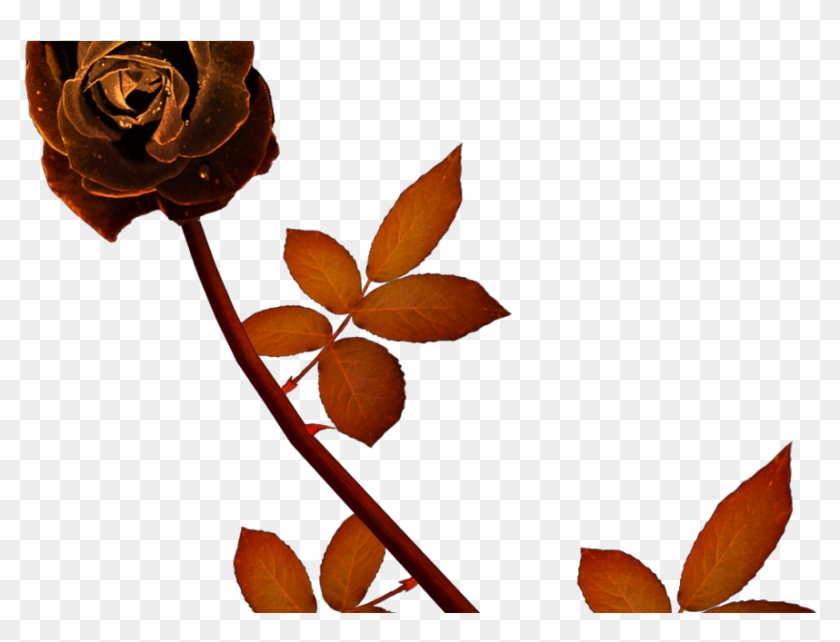 Rose And Heart Clipart #4453295
