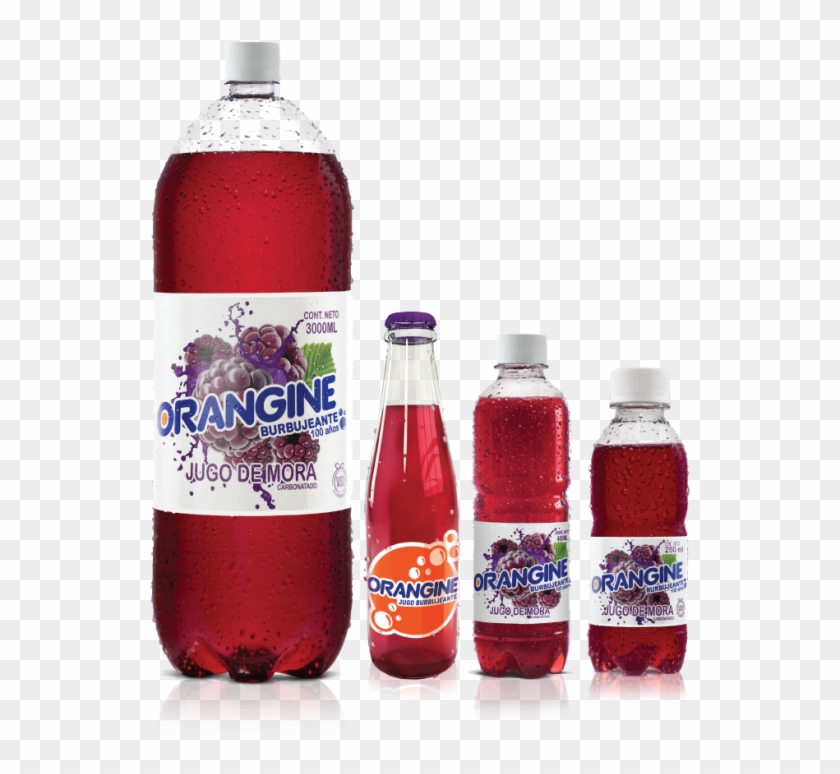 Cola Orangine De Mora Clipart