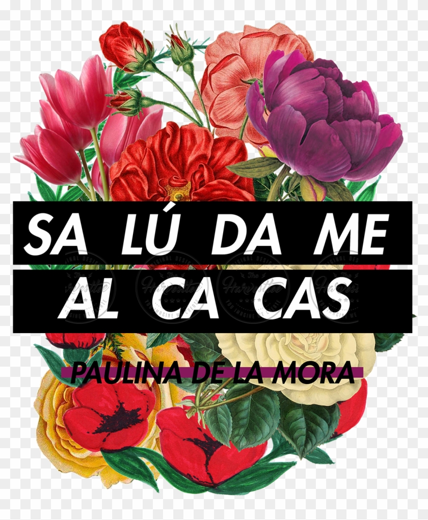 Paulina De La Mora Frases Clipart #4453876