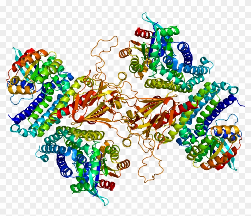T Cell Lymphoma Invasion And Metastasis Inducing Protein - Tia 1 Protein Structure Clipart