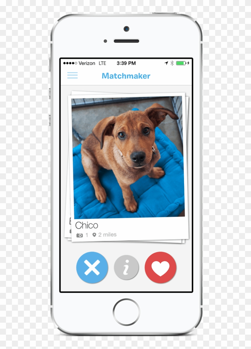Social Media App Buffer Also Recently Released A “tinder - Barkbuddy App Clipart #4456752